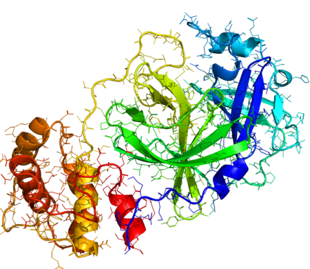 Coronovirus COVID-2019 Phytoncides