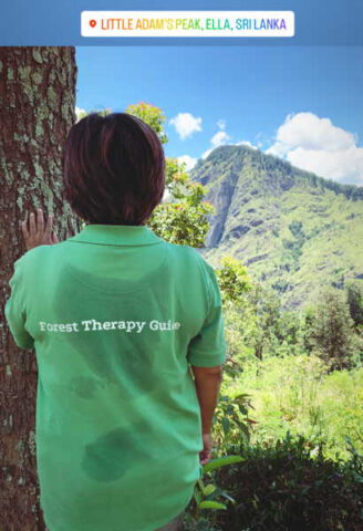 Forest Therapy Sri Lanka