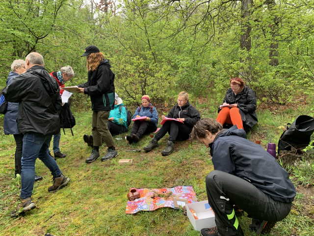 Forest Therapy Guide Training Germany