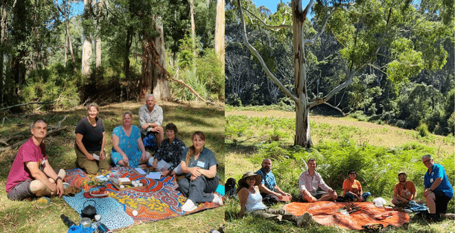 Forest Therapy Guide Training