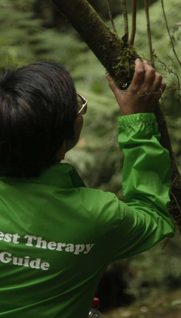 IFT Current Training 3