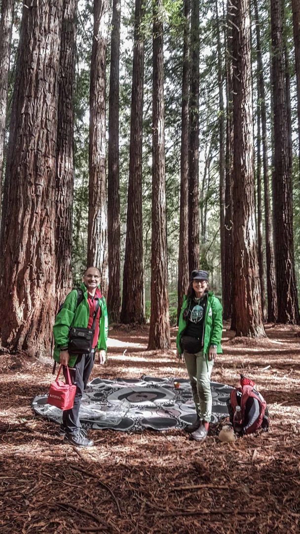 INFTA FOREST THERAPY GUIDE