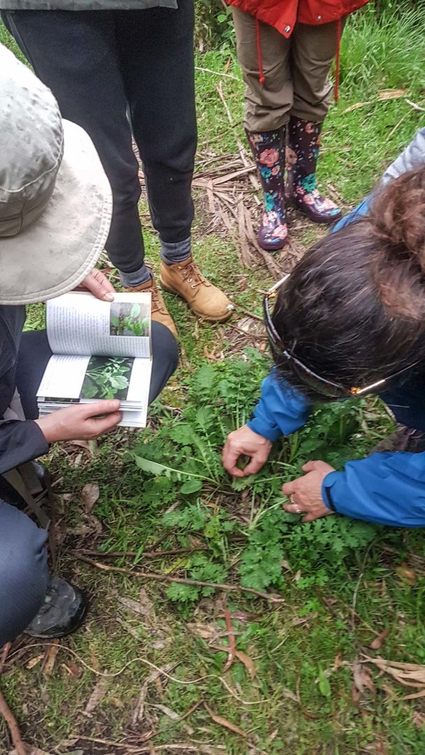 Institute of Forest Therapy Guide Training Bioregion