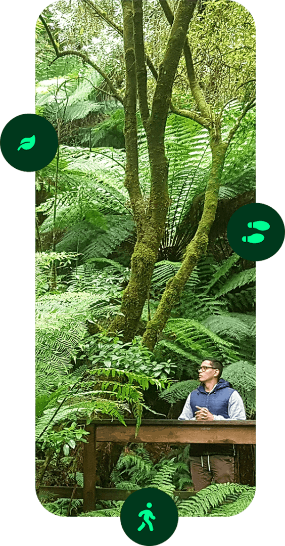 What is Forest Therapy