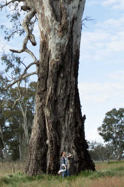 trunk with woman by Aaron Poole