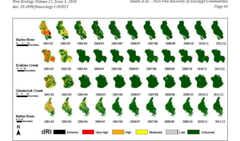 chart fire on eukalyptus
