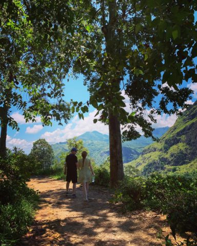 Forest Therapy Sri Lanka