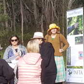 career INFTA lecturer