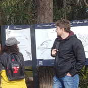 career INFTA research assistant